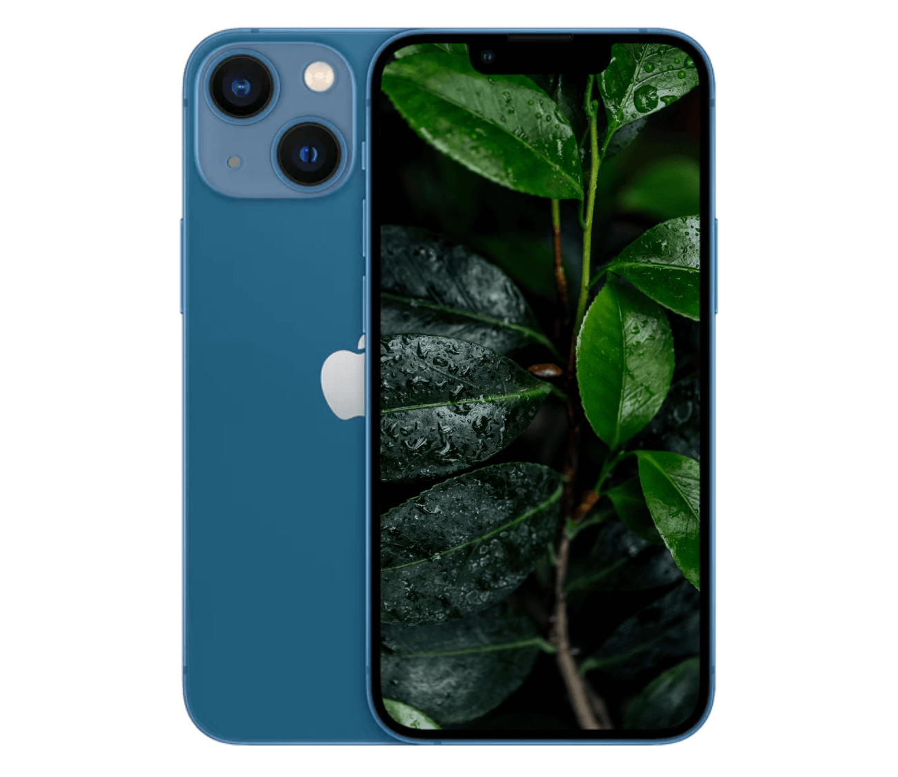 iPhone 13 Mini