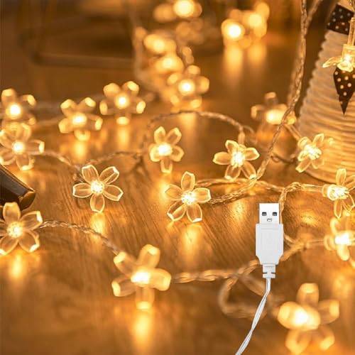 ENLACE Ljusslinga blommor, 6 m, 40 LED-ljuskedja körsbärsblommor med USB, varmvita blommor, ljuskedjor för trädgård, bröllop, inomhus, utomhus, terrass, träd, jul, festdekoration