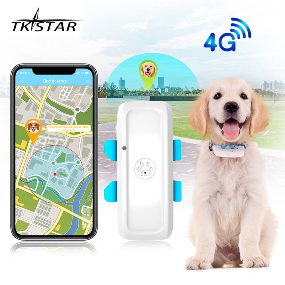 Cat Dog Pet GPS Tracker TKSTAR TK911 Pets Global GPRS Locator 2G 4G TK911pro High Accuracy Positioning Historical Route Playback