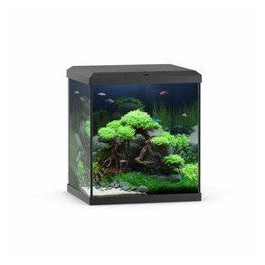 Juwel Akvarium Vio Cube 54 Sort 41x36x47cm 54l bestillings varer 2 til 8 dage