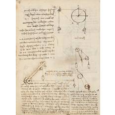Codex Madrid II - Leonardo da Vinci