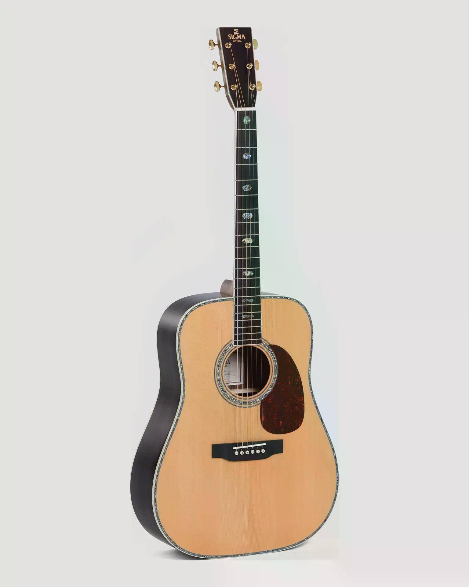 Sigma DT-41 w. Softshell Case