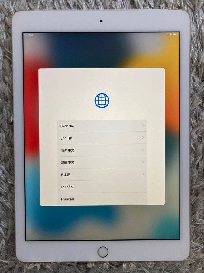 iPad Air 2 (Wi-Fi + Cellular)
