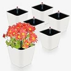 CPROSP 6 x självbevattningskruka med vattennivåindikator, örtkruka självbevattnande 13,7 x 13,5 cm, blomkruka vattenbehållare med kruka i kruksystem, blomkruka för lata vit