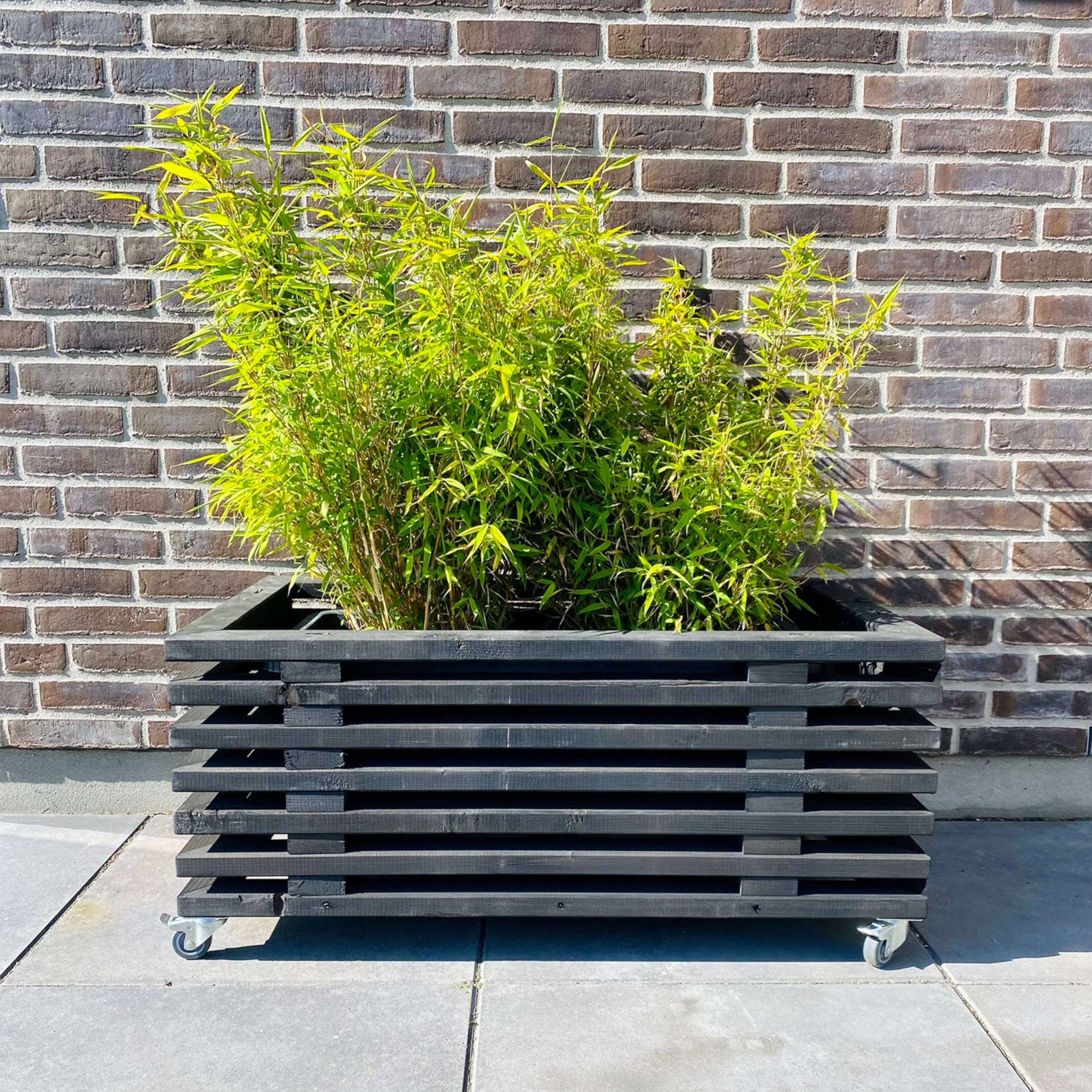 Plantekasse af Traller | Sortbejdset | 43 cm (7 Lægter) / 95 cm.