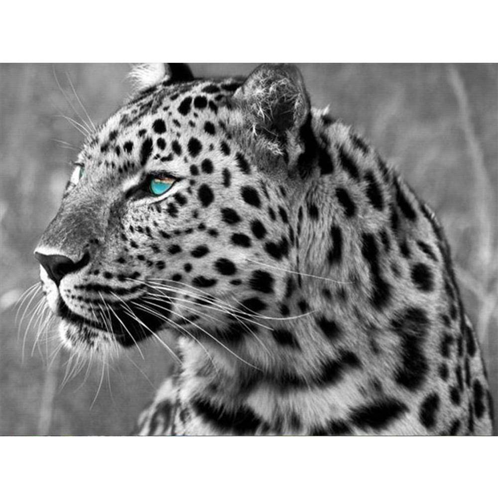 5d Diamantmålning Kvinna Djur Diamantbroderiförsäljning Leopardbilder av Rhinestones Mosaikhantverk Full Square 20X30CM