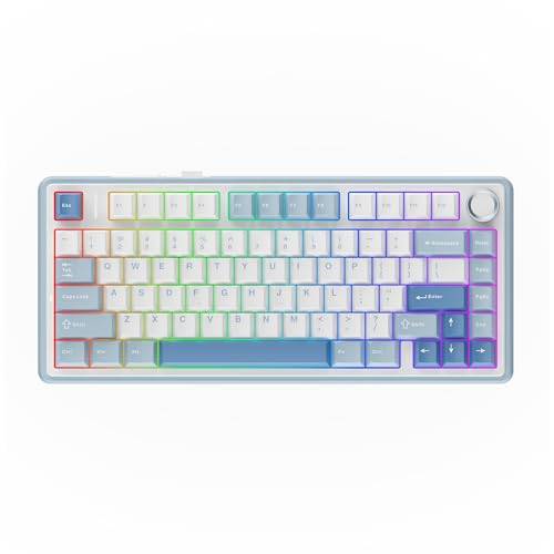Epomaker x Aula F75 Mekaniskt tangentbord, med packning, 75 % hot-swap-bart speltangentbord med fem-lagers vaddering och knapp, Bluetooth/trådlöst, USB-C, RGB (havssalt-blått, Ice Vein Switch)