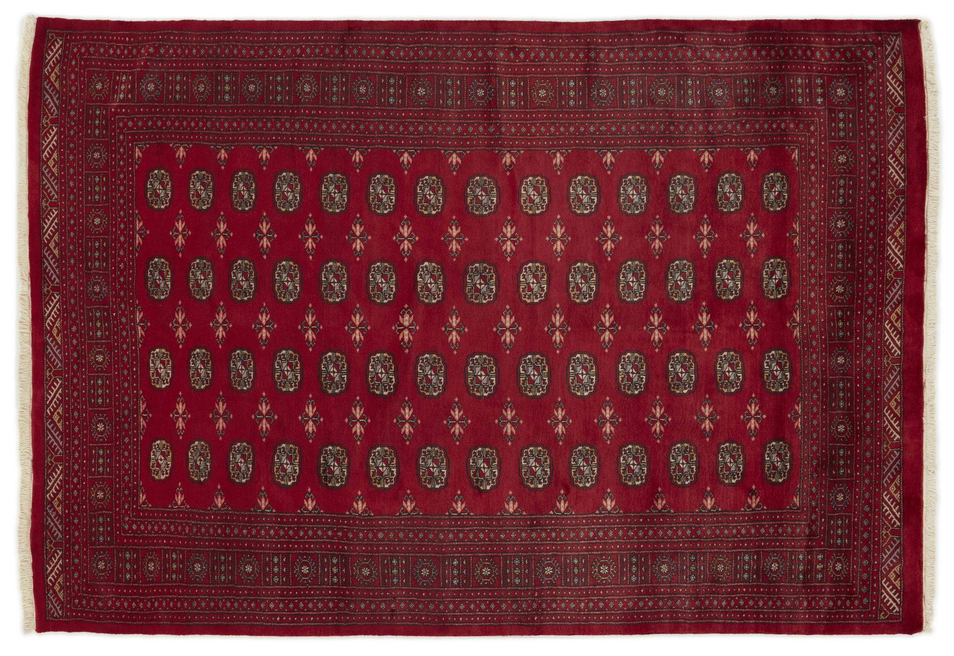Pakistan 3 Ply