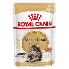 Royal Canin Maine Coon Adult i sauce - Økonomipakke: 48 x 85 g