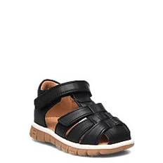 BISGAARD Bisgaard Angus |Black |22