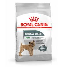 Royal Canin CCN Dental Care Mini Dog -