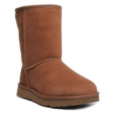 Ugg Australia Classic Short 2 In Chestnut - 3 UK - 36 EU - 5 US / Chestnut