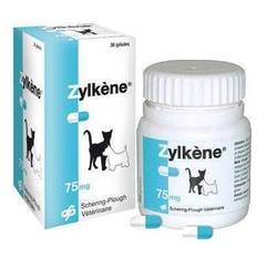 Zylkène, til utrygge/nervøse hunde og katte