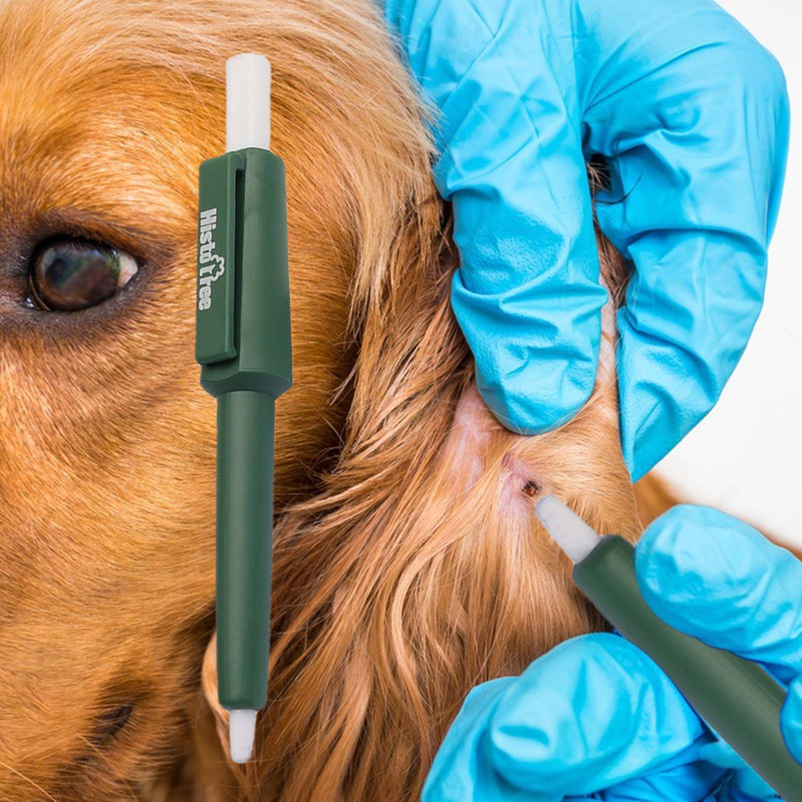 Husdjursfästingborttagningspenna Hund Mot Fästingar Loppor Pincett Krokplockare Loppskrapningsutdragare För Hund Katt Pälsvårdsartiklar För Katt Hund