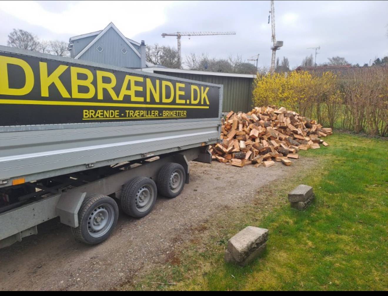9 skrm ovntørret ask + levering efter postnummer