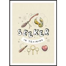 Harry Potter™ - Seeker in Training Poster