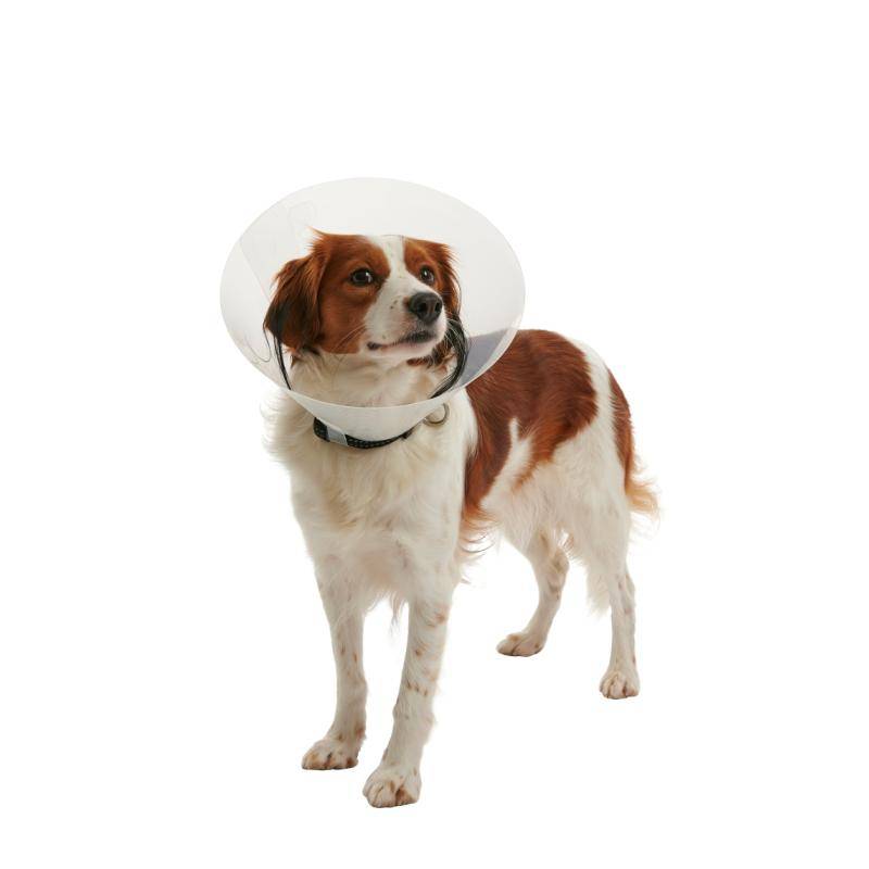 Buster Hundkrage Clic (12,5 cm)