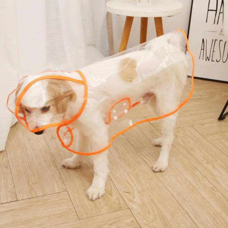 Transparent Waterproof Raincoat for Small & Medium Dogs - Orange / L-suit 3-4.5kg / SPC (L-suit 3-4.5kg)