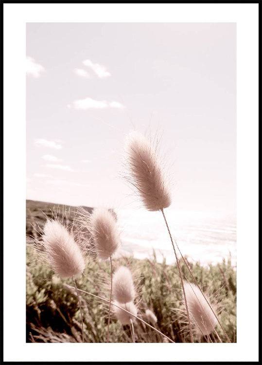 Beach Grass Poster (30x40cm) - Plakater > Botaniska Posters, BD, LANGFIX