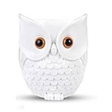 För Amazon Echo dot 2nd/3rd/4th/Echo dot 5/Google Home mini Owl Hållare Desktop Stand Bracket Tillbehör med integrerad kabelhantering, inga skruvar krävs Speaker Rack(White) KS-082