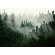 Forwall fototapet skog dimma natur träd landskap skandinavisk vardagsrum sovrum fleece tapet väggtapet UV-resistent monteringsklar (13026, VEXXL (312 x 219 cm) 3 paneler)