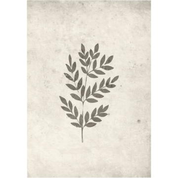 Venture Poster Spring Leaf