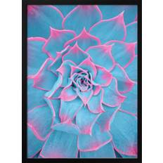 Blue and Pink Succulent - 100x70 cm / 40x28″