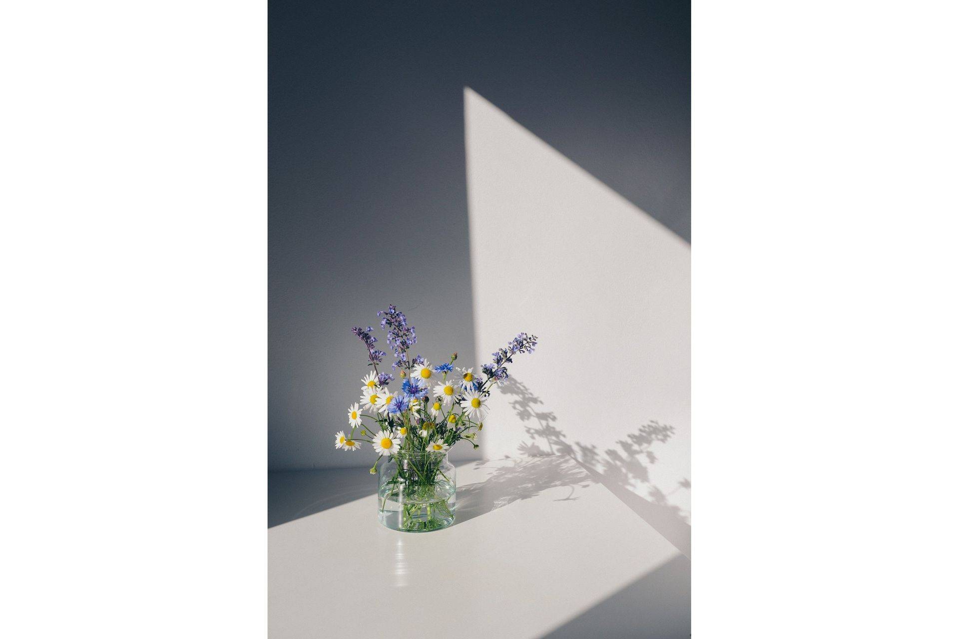 Poster Flowers 30x40 cm - Vit Posters & prints Venture Home