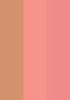 MULTI FINISH TRIO BLUSH & BRONZER PALETTE - Bronzer - mauve