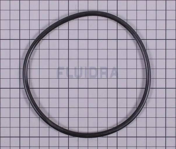 O-RING till Klorautomat Astralpool inline/offline
