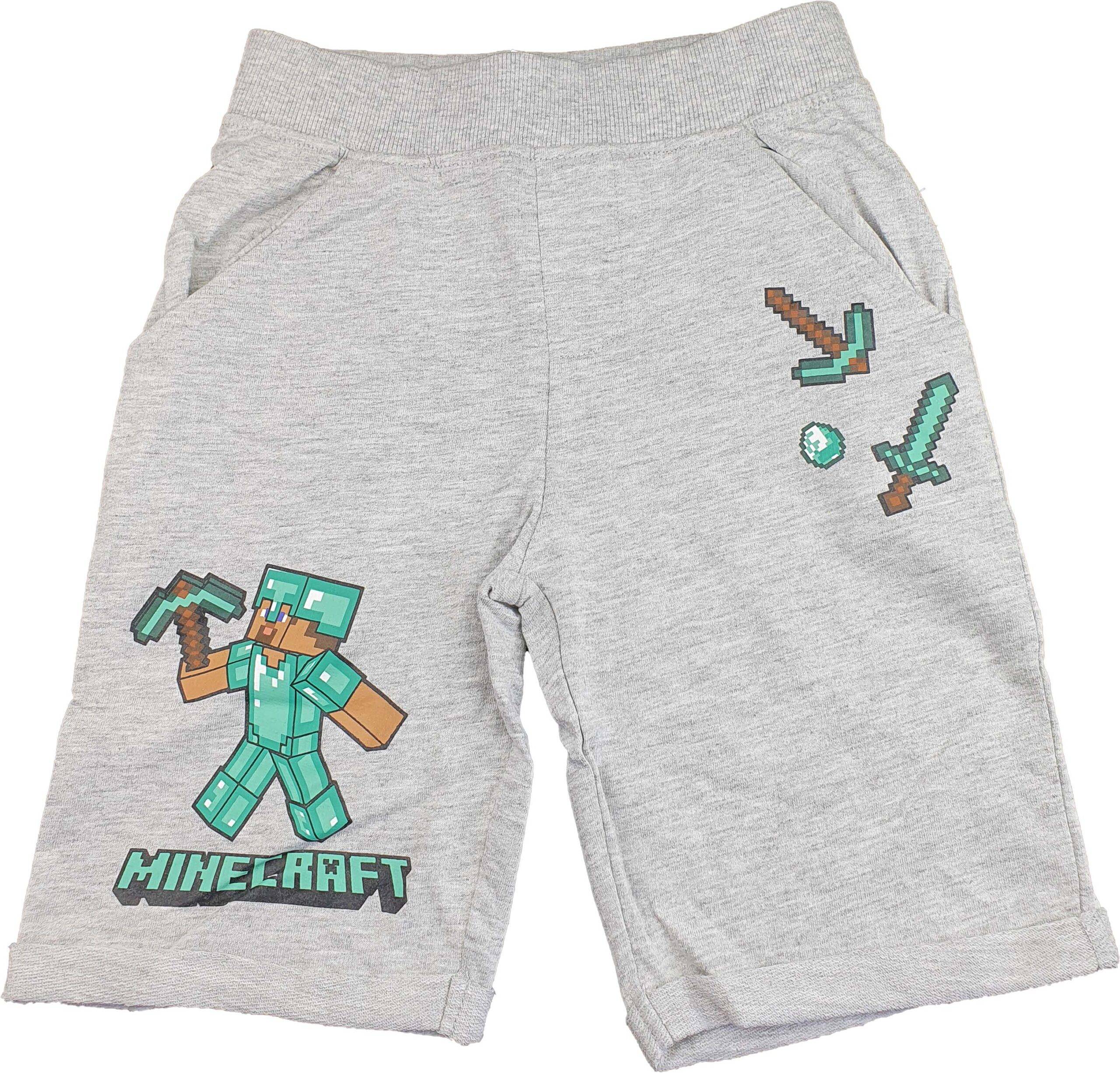 Minecraft Shorts - 116