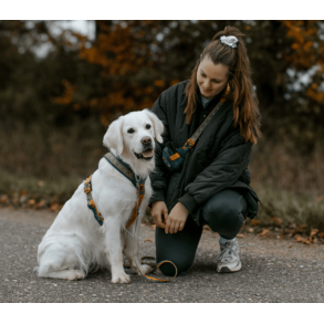 Non-stop dogwear Line Harness 5.0 Rachel Pohl Edition