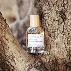 EDP Coriander &amp; Bois de Ceder (Energi) | 10 ml