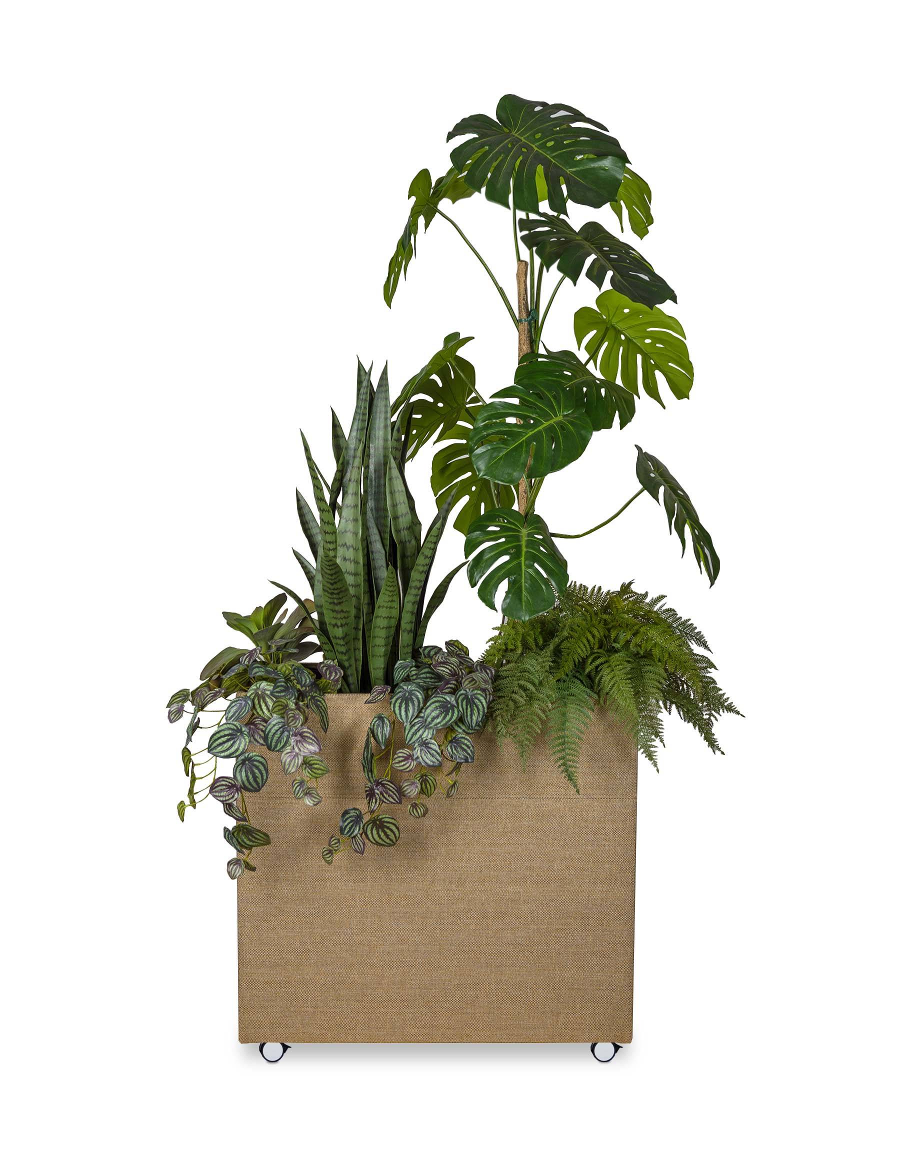 Rumsavdelare Plant Divider Small