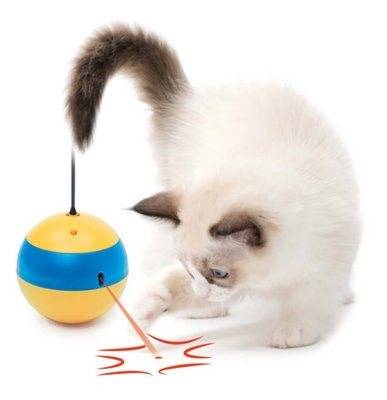 Kattleksak Catit Spinning Bee