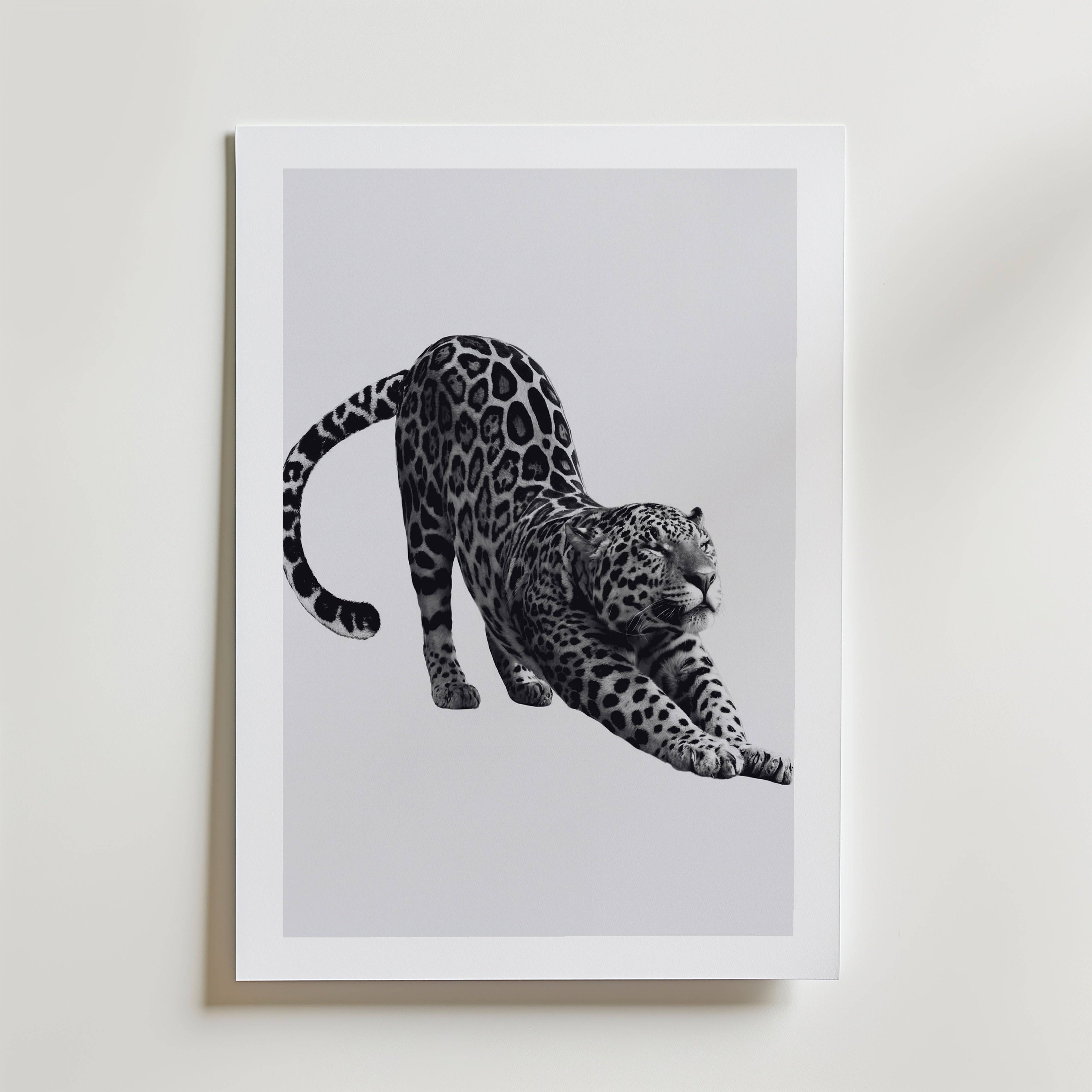 Stretching Leopard Poster - Premium Canvas 40x50 cm Med passepartout
