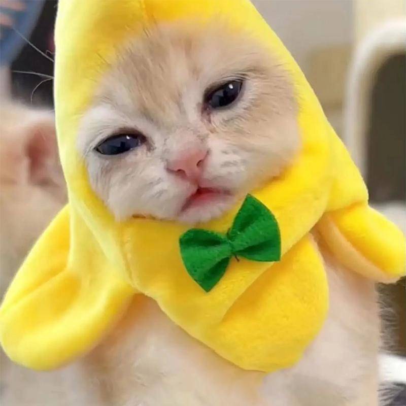 Banan Cat Head Cover Creative Söta Katter Husdjur Bandana Huvudbonader Plysch Katter Cosplay Kostymer Banan Huvudbonader Performance Photo Prop yellow