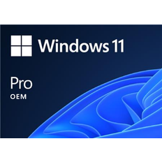 Microsoft Windows 11 Professional OEM Key - GLOBAL