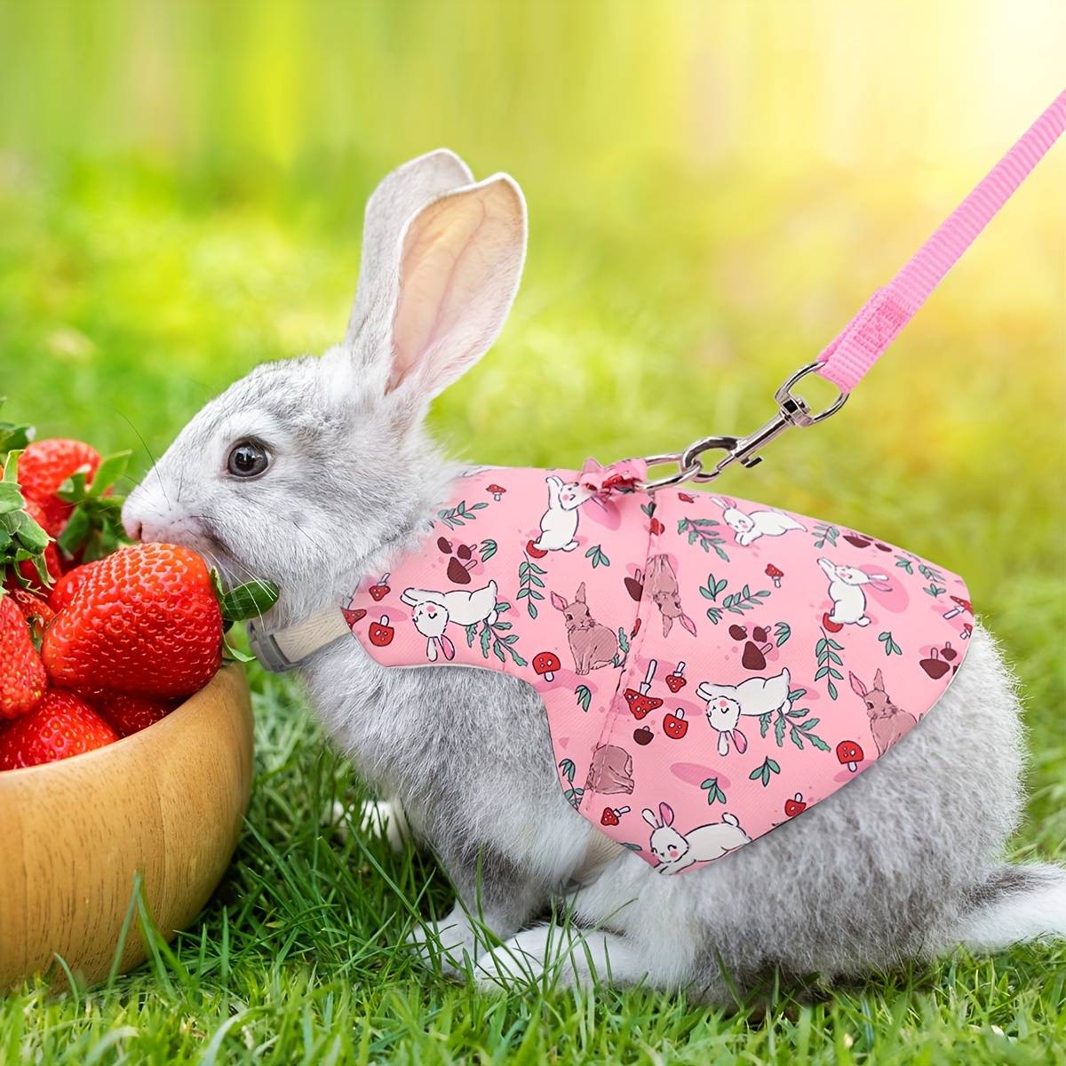 TEMU 1pc Fashion Printed Breathable Pet Rabbit Harnesses Outdoor Chest Back