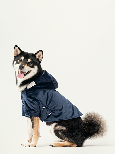 Blue Flannel Stretch Dog Hoodie | Warm Winter Sweatshirt | PEHOM - M (M)