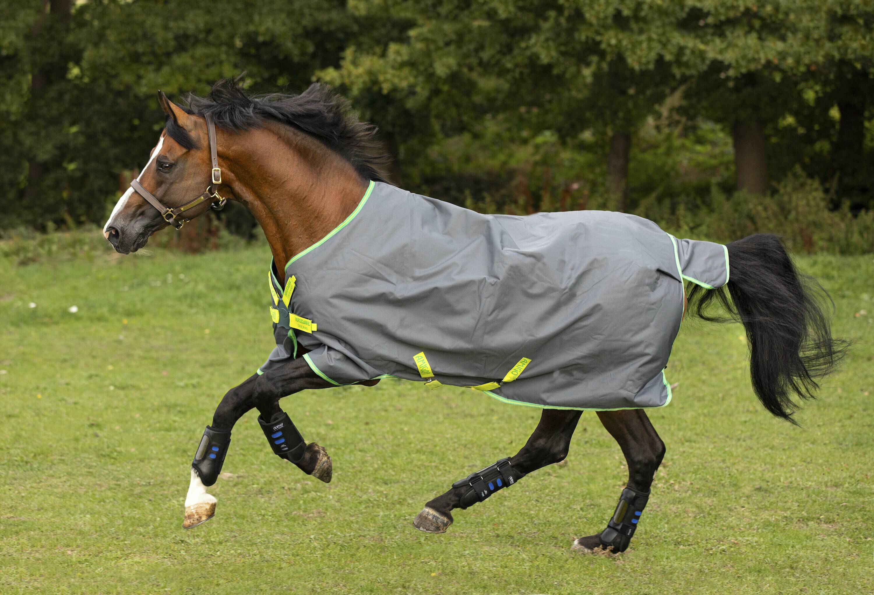 Amigo Hero 900 Lite DF - 0 gr, Horseware