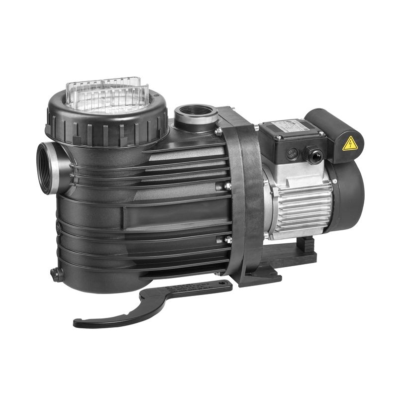 Speck Badu Top II/8 | 0,30 kW | 1-Fas