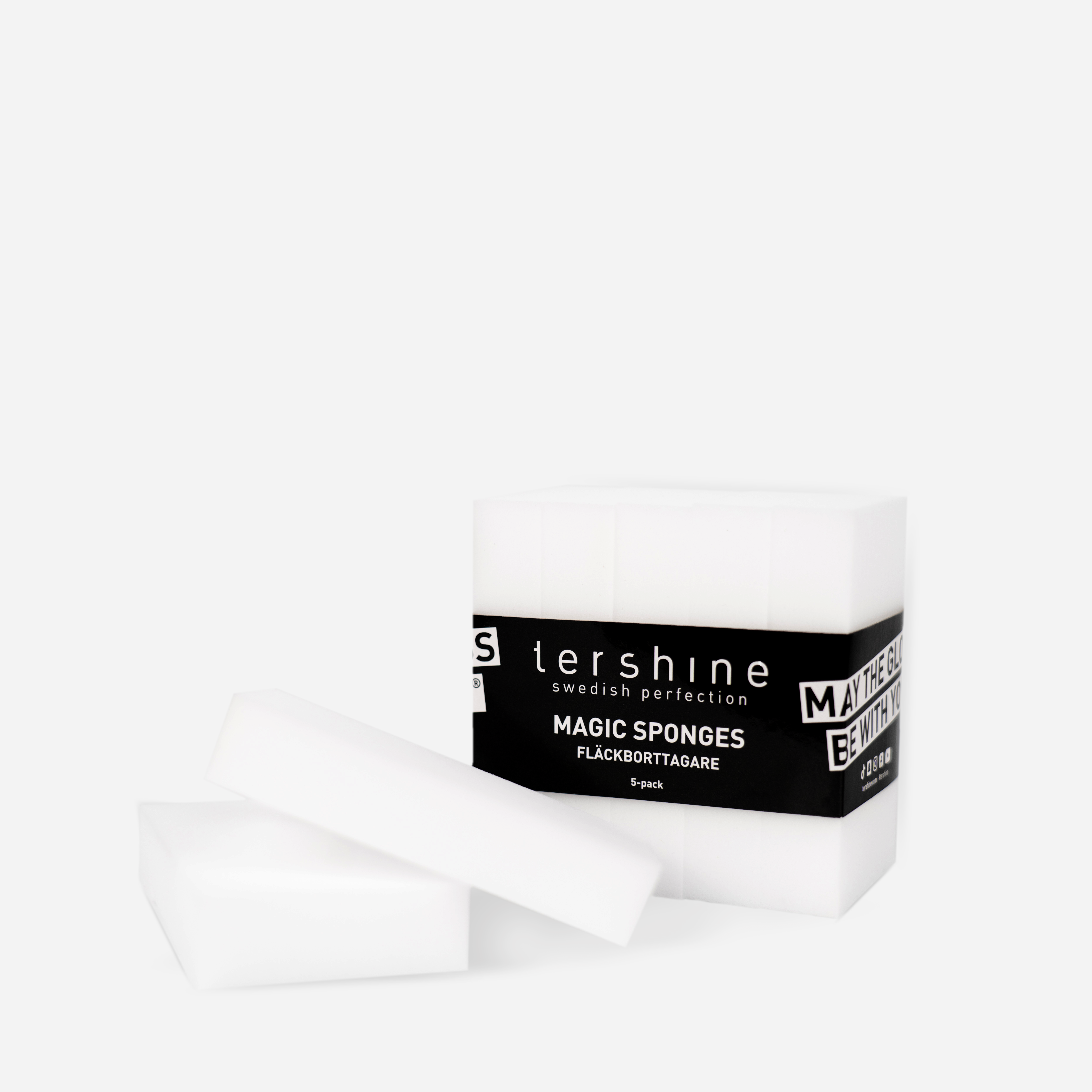 Fläckborttagningssvamp Tershine 5-pack