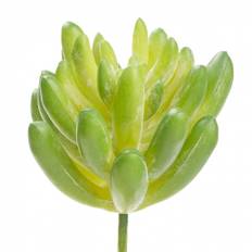 Konstgjord Växt Sedum Pachyphyllum - 10 cm - Grön