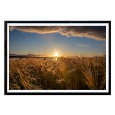 Places & Cities Poster: Harvesttime by Magnus Ericson