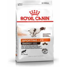 Royal Canin Sport Life Energy 4800 13kg
