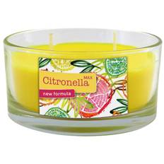 250g Citronella Dobbeltvæget Myggelys