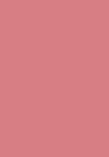 THE JUICY LASTING TINT - Läppglans - pomelo skin