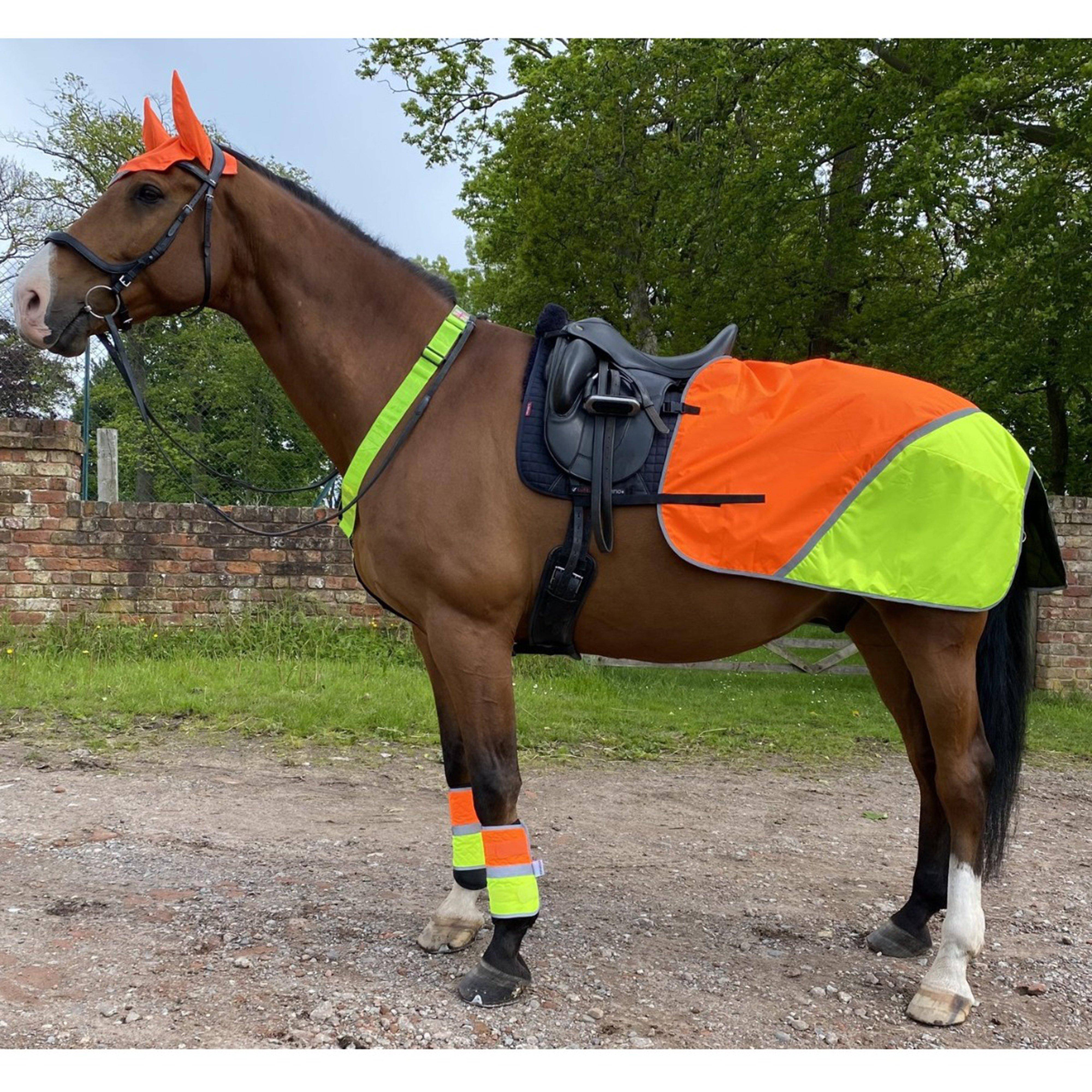 Equisafety Charlotte Dujardin Reflective Multi-Coloured Mesh Horse Ears Yellow/Orange, Yellow/Orange - Full