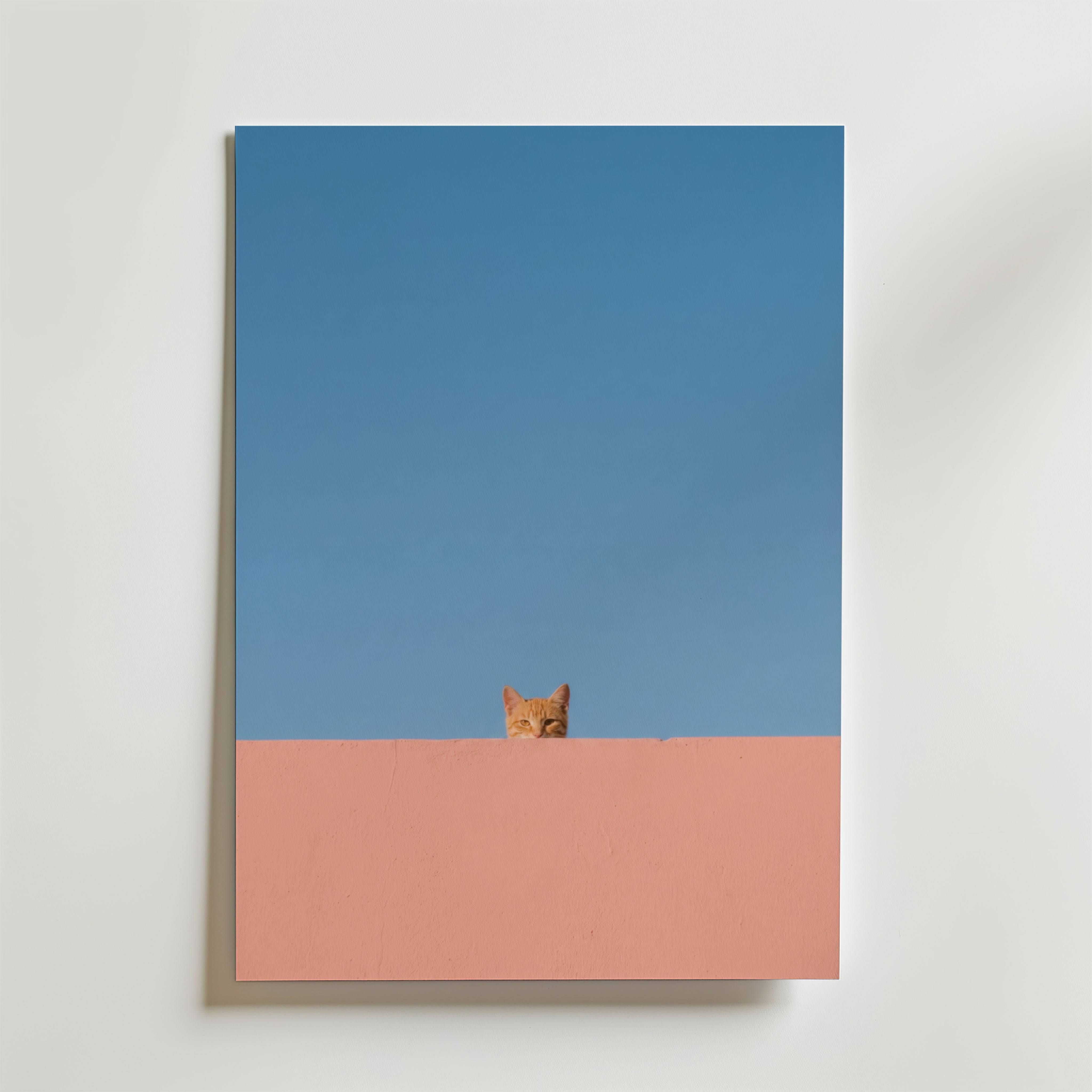 Curious Cat Horizon Poster - Fine Art Poster 50x70 cm